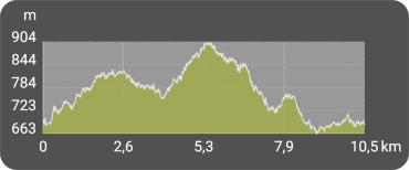Höhenprofil Schierke - Hohnekamm