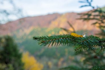 Landschaftsfotografie im Südharz - Drei-Täler-Blick