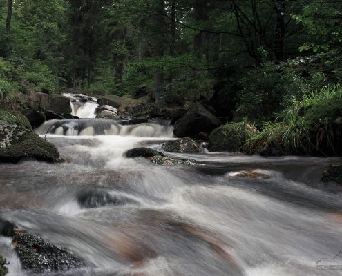 Warme Bode, Harz