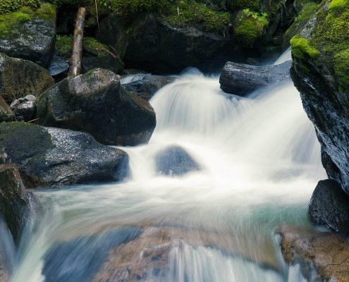 Fotoreise Südtirol (Alto Adige) Frankenbach