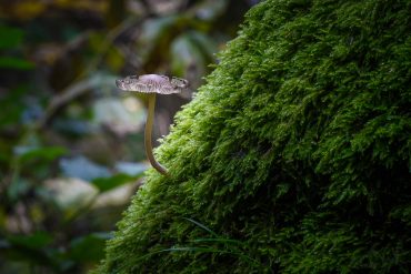 unterwegs im Bodetal - Harz © Andreas Levi