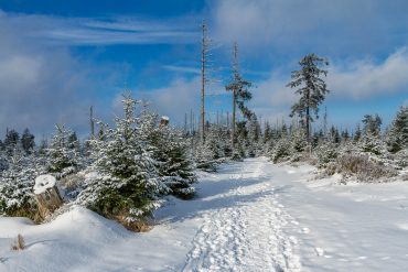 Winter-Fotowanderungen im Harz mit Foto-Wandern.com