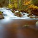 Herbst an der Bode - Fotokurs Langzeitbelichtung im Harz