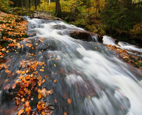 Herbst an der Bode - Fotokurs Langzeitbelichtung im Harz