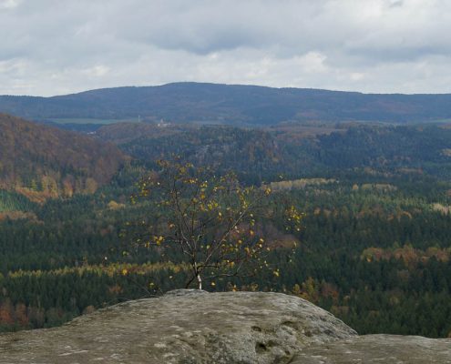 Fotokurs-Wochenende auf dem Malerweg in der Sächsischen Schweiz - Herbst 2017 © Anja N. Fotokurs-Wochenende auf dem Malerweg in der Sächsischen Schweiz - Herbst 2017 © Anja N.