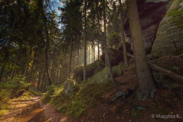 Fotokurs-Wochenende auf dem Malerweg in der Sächsischen Schweiz - Herbst 2017 © Margitta K.