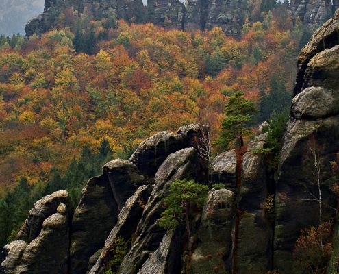 Fotokurs-Wochenende auf dem Malerweg in der Sächsischen Schweiz - Herbst 2017 © Jan S. Fotokurs-Wochenende auf dem Malerweg in der Sächsischen Schweiz - Herbst 2017 © Jan S.