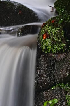 Fotokurs-Wochenende auf dem Malerweg in der Sächsischen Schweiz - Herbst 2017 © Jan S.