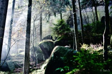 Fotokurs-Wochenende auf dem Malerweg in der Sächsischen Schweiz - Herbst 2017 © Jan S.
