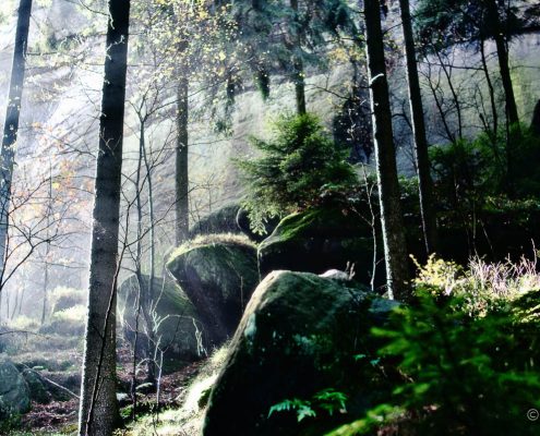 Fotokurs-Wochenende auf dem Malerweg in der Sächsischen Schweiz - Herbst 2017 © Jan S. Fotokurs-Wochenende auf dem Malerweg in der Sächsischen Schweiz - Herbst 2017 © Jan S.