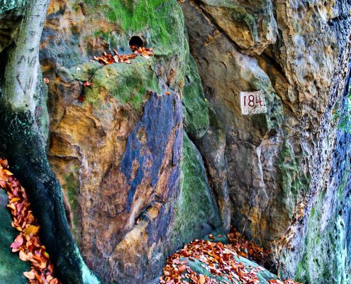 Fotokurs-Wochenende auf dem Malerweg in der Sächsischen Schweiz - Herbst 2017 © Jan S. Fotokurs-Wochenende auf dem Malerweg in der Sächsischen Schweiz - Herbst 2017 © Jan S.