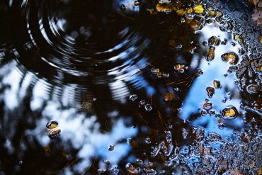 Fotokurs-Wochenende auf dem Malerweg in der Sächsischen Schweiz - Herbst 2017 © Jan S.