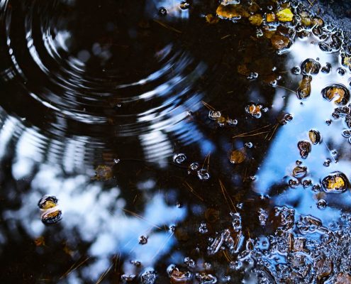 Fotokurs-Wochenende auf dem Malerweg in der Sächsischen Schweiz - Herbst 2017 © Jan S. Fotokurs-Wochenende auf dem Malerweg in der Sächsischen Schweiz - Herbst 2017 © Jan S.