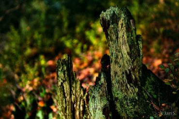 Fotokurs-Wochenende auf dem Malerweg in der Sächsischen Schweiz - Herbst 2017 © Jan S.