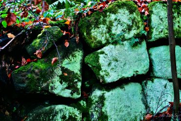 Fotokurs-Wochenende auf dem Malerweg in der Sächsischen Schweiz - Herbst 2017 © Jan S.