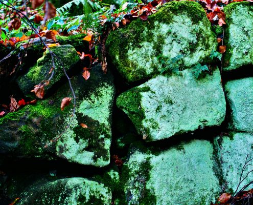 Fotokurs-Wochenende auf dem Malerweg in der Sächsischen Schweiz - Herbst 2017 © Jan S. Fotokurs-Wochenende auf dem Malerweg in der Sächsischen Schweiz - Herbst 2017 © Jan S.