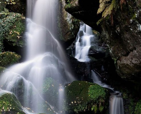 Fotokurs-Wochenende auf dem Malerweg in der Sächsischen Schweiz - Herbst 2017 © Thomas P. -01