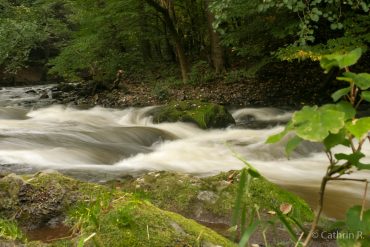 Fotowanderung durch das Bodetal im Harz