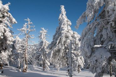 Fotokurs Landschaftsfotografie im Winter auf dem Brocken