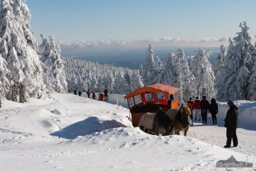 Fotokurs Landschaftsfotografie im Winter auf dem Brocken