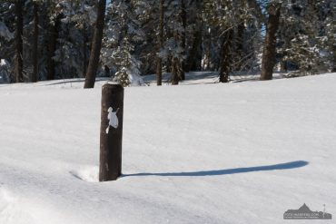 Fotokurs Landschaftsfotografie im Winter auf dem Brocken