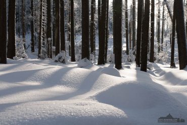 Fotokurs Landschaftsfotografie im Winter auf dem Brocken