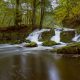 Selkefall im Herbst