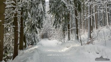 Fotowanderung von Benneckenstein nach Sorge im Harz