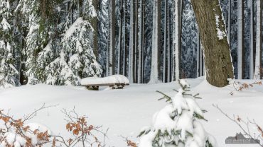 Fotowanderung von Benneckenstein nach Sorge im Harz
