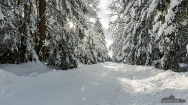 Fotowanderung von Benneckenstein nach Sorge im Harz