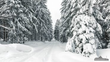 Fotowanderung von Benneckenstein nach Sorge im Harz