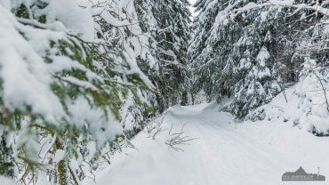 Fotowanderung von Benneckenstein nach Sorge im Harz