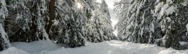 Fotowanderung von Benneckenstein nach Sorge im Harz