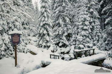 Winter-Fotowanderung Rehberger Graben