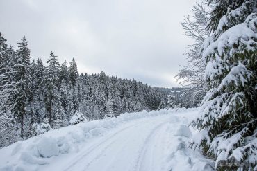 Winter-Fotowanderung Rehberger Graben