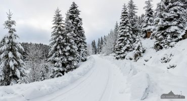 Winter-Fotowanderung Rehberger Graben