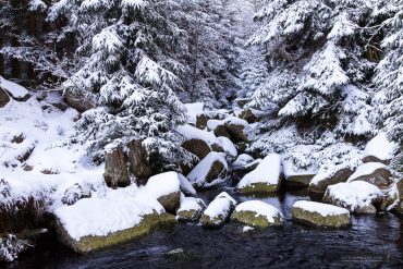 Winter-Fotowanderung Rehberger Graben