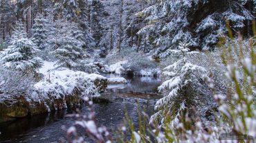 Winter-Fotowanderung Rehberger Graben