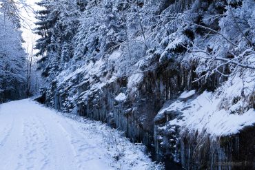 Winter-Fotowanderung Rehberger Graben