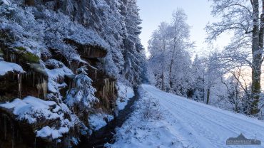 Winter-Fotowanderung Rehberger Graben