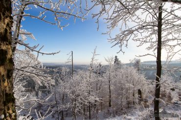 Winter-Fotowanderung Rehberger Graben