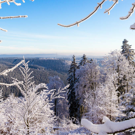 Winter-Fotowanderung Rehberger Graben
