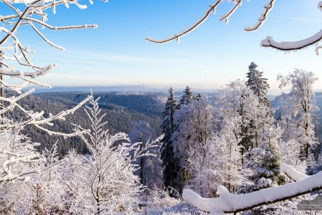 Winter-Fotowanderung Rehberger Graben