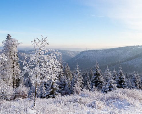 Winter-Fotowanderung Rehberger Graben
