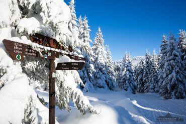 Winterwandern im Oberharz