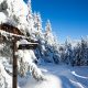 Winterwandern im Oberharz