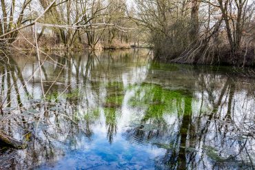 Fotokurs-Wanderwoche im Harz - Frühjahr auf dem Karstwanderweg
