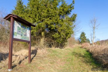 Fotokurs-Wanderwoche im Harz - Frühjahr auf dem Karstwanderweg