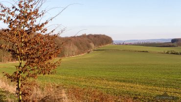 Fotokurs-Wanderwoche im Harz - Frühjahr auf dem Karstwanderweg