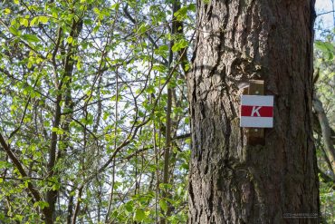 Fotokurs-Wanderwoche im Harz - Frühjahr